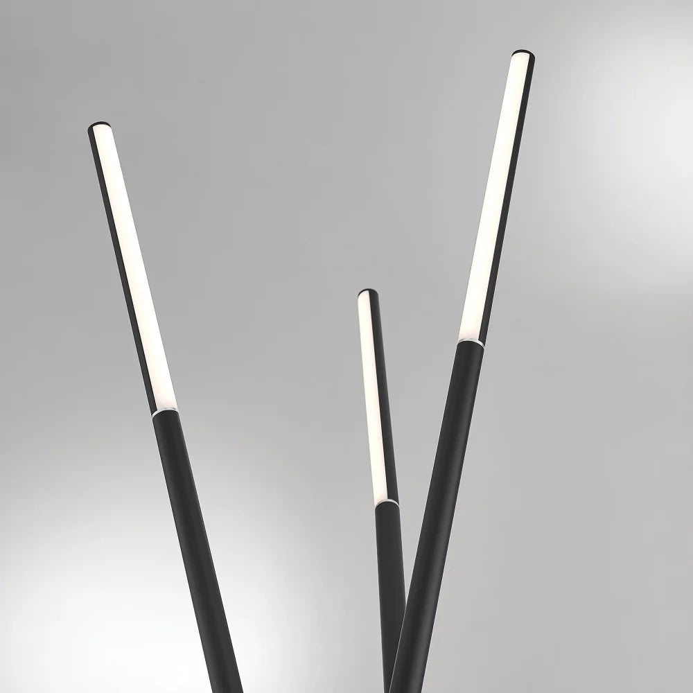 LORANT Floor Lamp LS-83668BLK