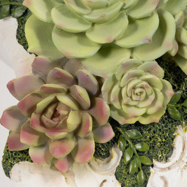 Bull Skull With Succulents, Multi